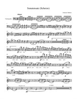 Sonatensatz (arr. for cello)
